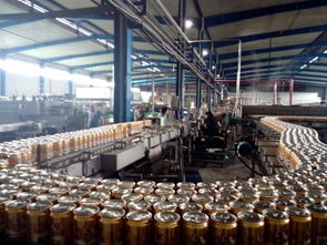 湛河區食藥監局開展四鈴啤酒食品安全專項檢查指導