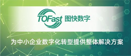 臨安數(shù)字化服務(wù)商 以數(shù)字內(nèi)容制作服務(wù)獲評市級優(yōu)秀背后的創(chuàng)新實踐